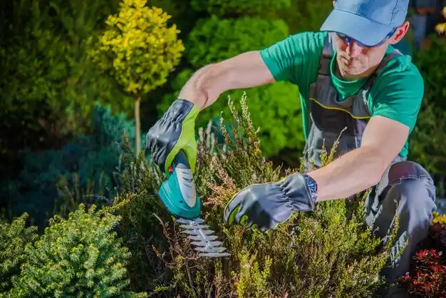 landscaping services Gonzales